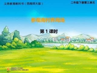 参观南村养鸡场-1