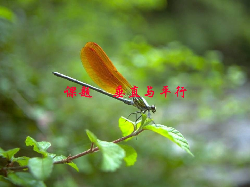 垂直与平行(二)_第2页