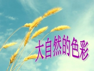 大自然的色彩
