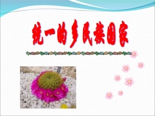 [中学联盟]甘肃省永靖县刘家峡中学九年级政治复习课件：统一的多民族国家