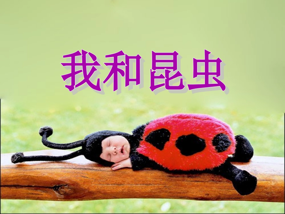 10.我和昆虫-(2)_第2页