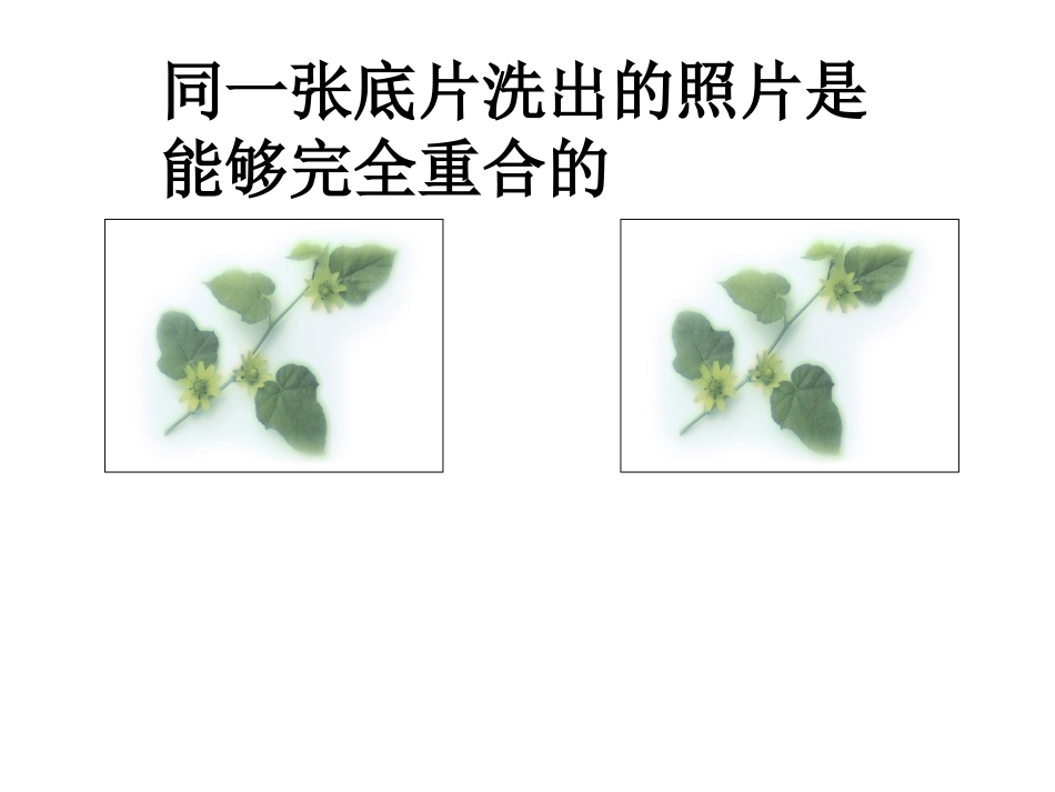 12.1-全等三角形.1第一节--全等三角形_第2页