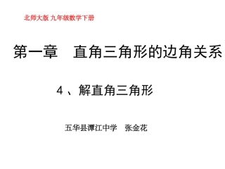 4解直角三角形-(2)
