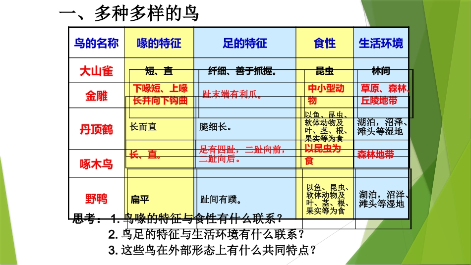 第三节-空中飞行的动物_第2页
