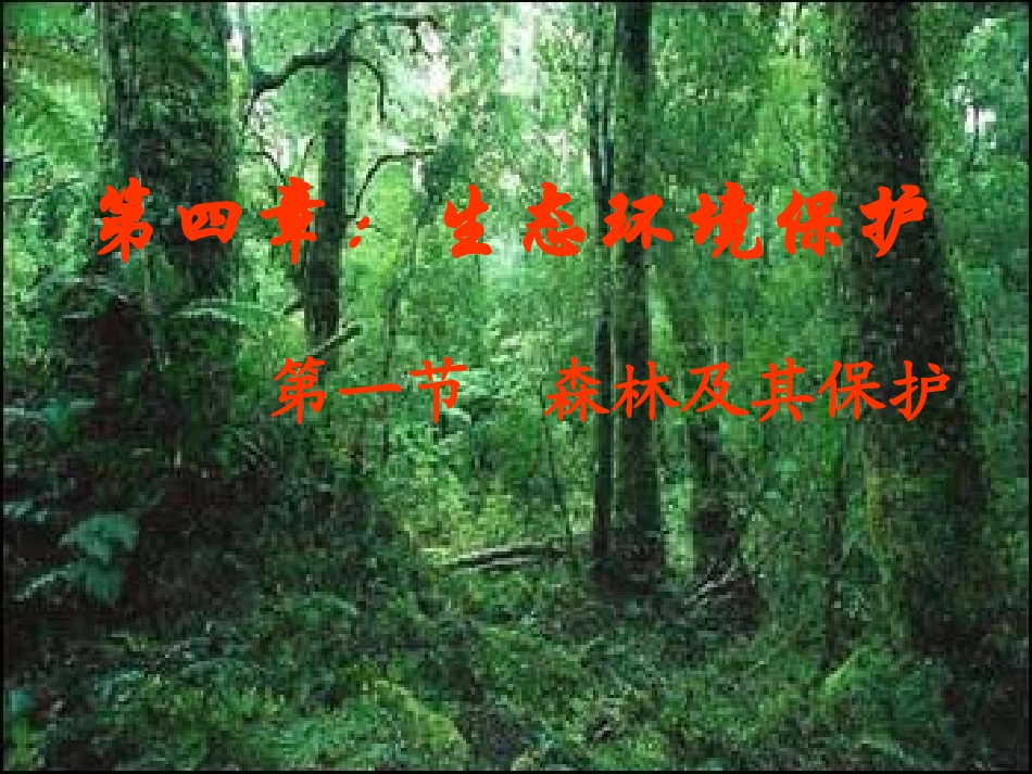 第一节-森林及其保护_第1页