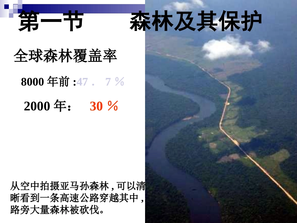第一节-森林及其保护_第2页