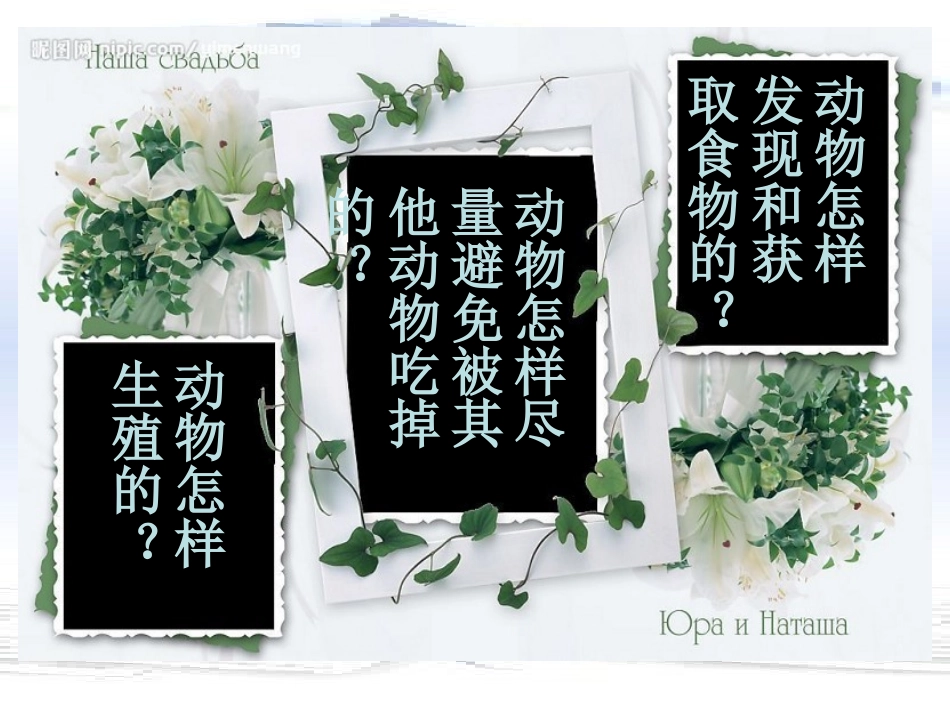 1人教版八上第五单元第一章第一节腔肠动物和扁形动物(共63张PPT)_第3页