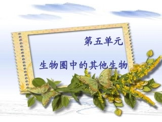 1人教版八上第五单元第一章第一节腔肠动物和扁形动物(共63张PPT)