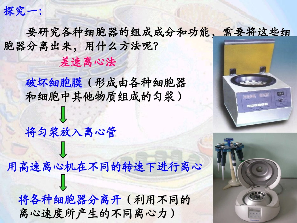 细胞质和细胞器_第3页