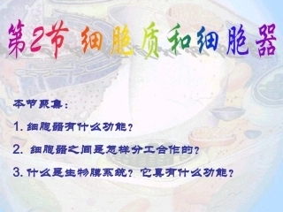 细胞质和细胞器