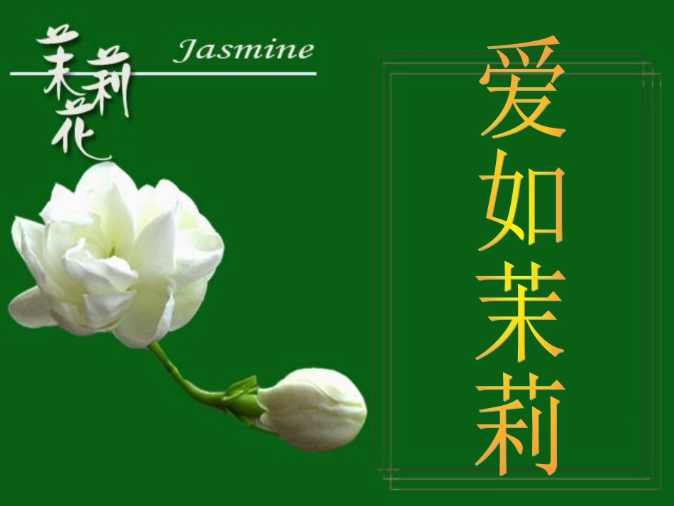 爱如茉莉ppt (2)_第1页