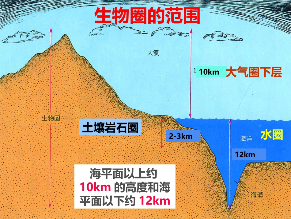 第三节生物圈-(2)_第3页