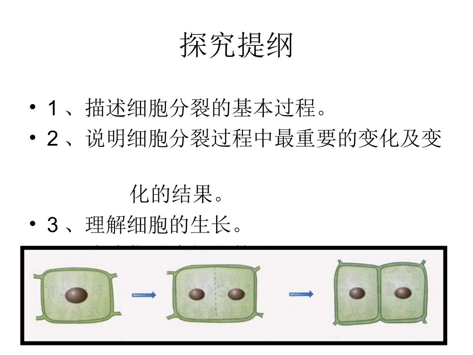 第三节-细胞通过分裂产生新细胞_第3页