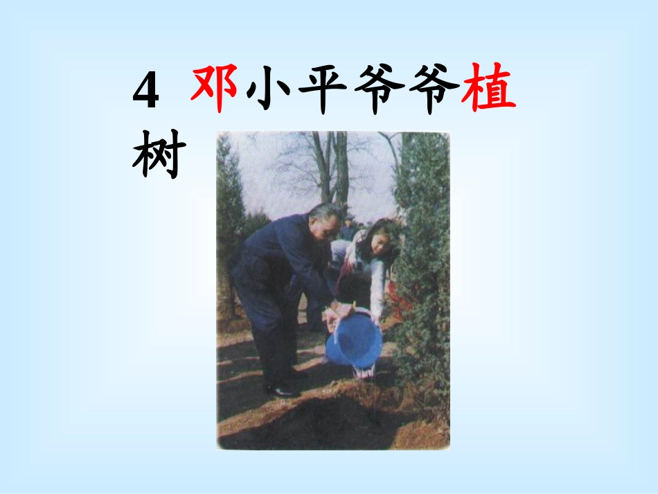 4邓小平爷爷植树_第2页