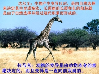 达尔文和他的进化论