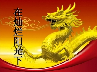 在灿烂阳光下