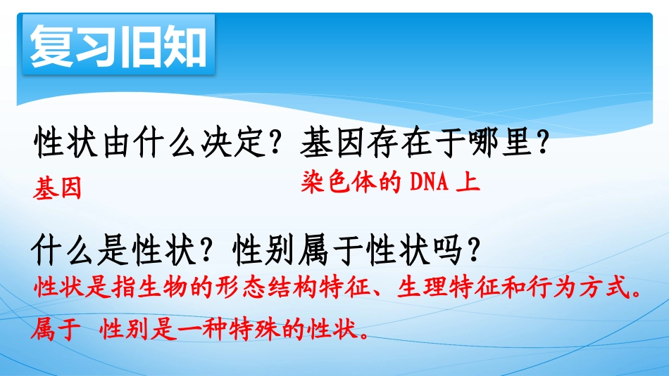第三节人类的遗传-(2)_第2页