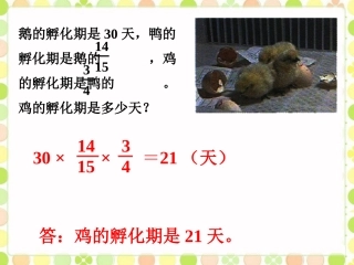 自主练习1-分数乘法4