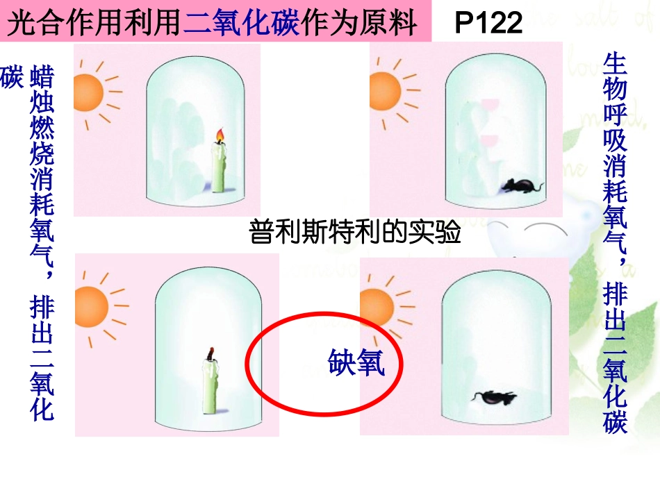 第一节-光合作用吸收二氧化碳释放氧气-课件2_第2页