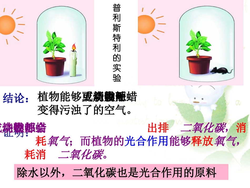 第一节-光合作用吸收二氧化碳释放氧气-课件2_第3页