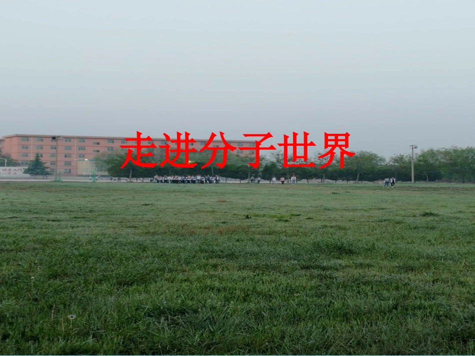 1.2走过分子世界_第1页