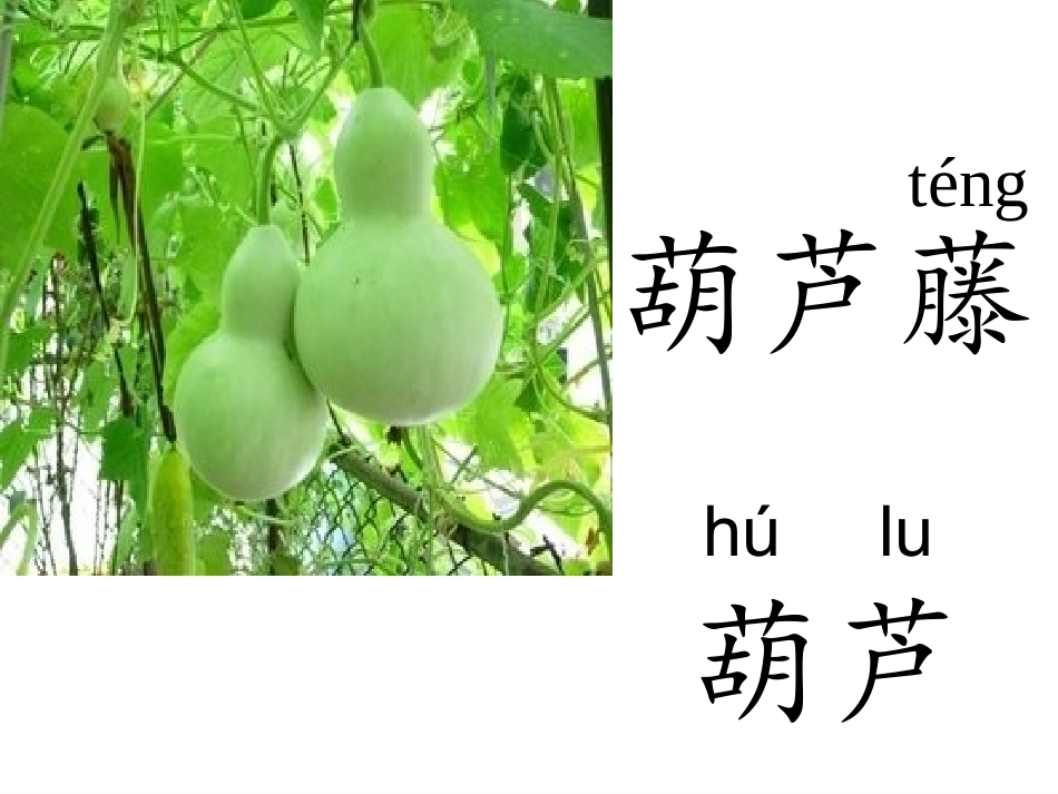 14、我要的是葫芦_第3页