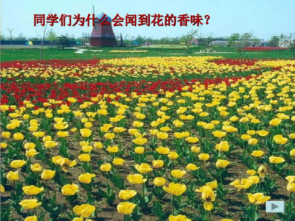 分子和原子课时一_第3页