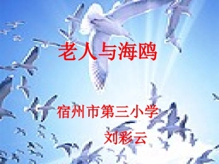 老人与海鸥-(2)
