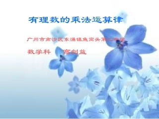 有理数乘法的运算律