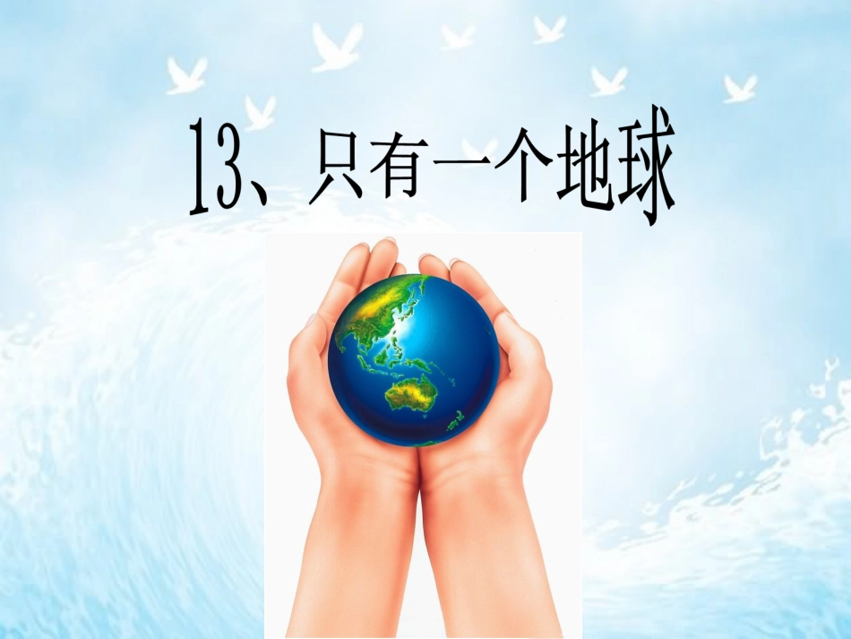 13只有一个地球-(2)_第1页