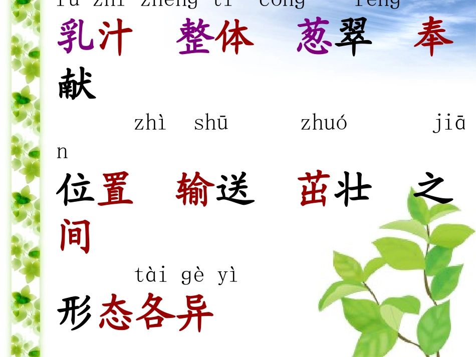 做一片美的叶子--PPT_第2页