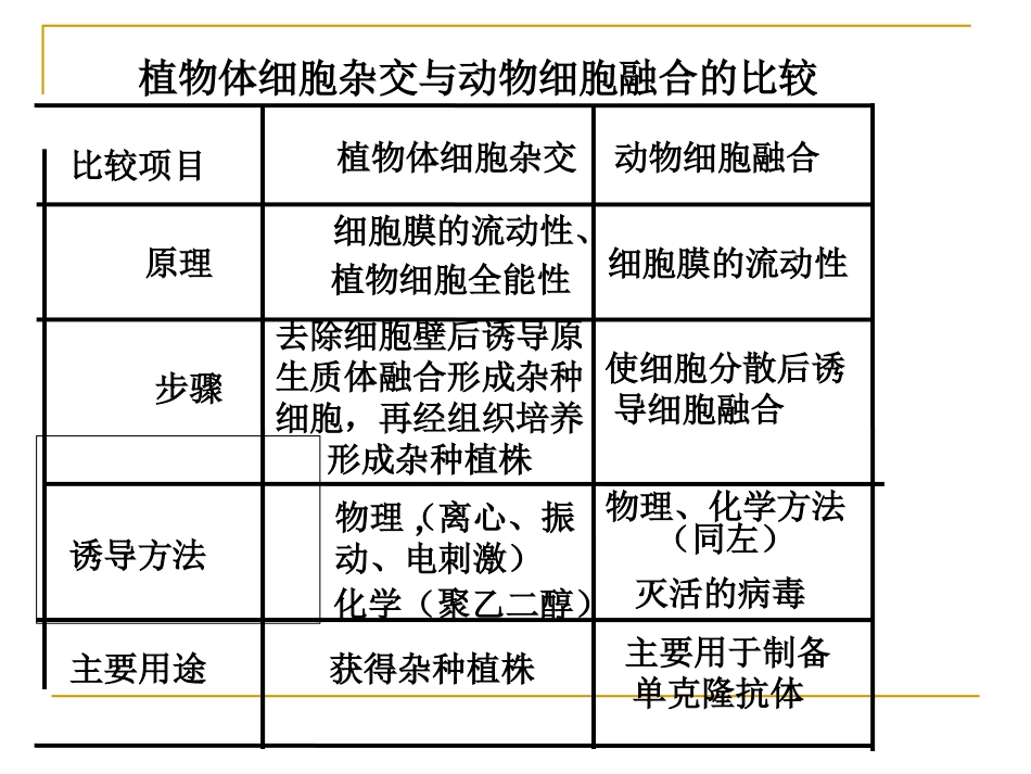 拓展视野-多利羊猜想_第1页