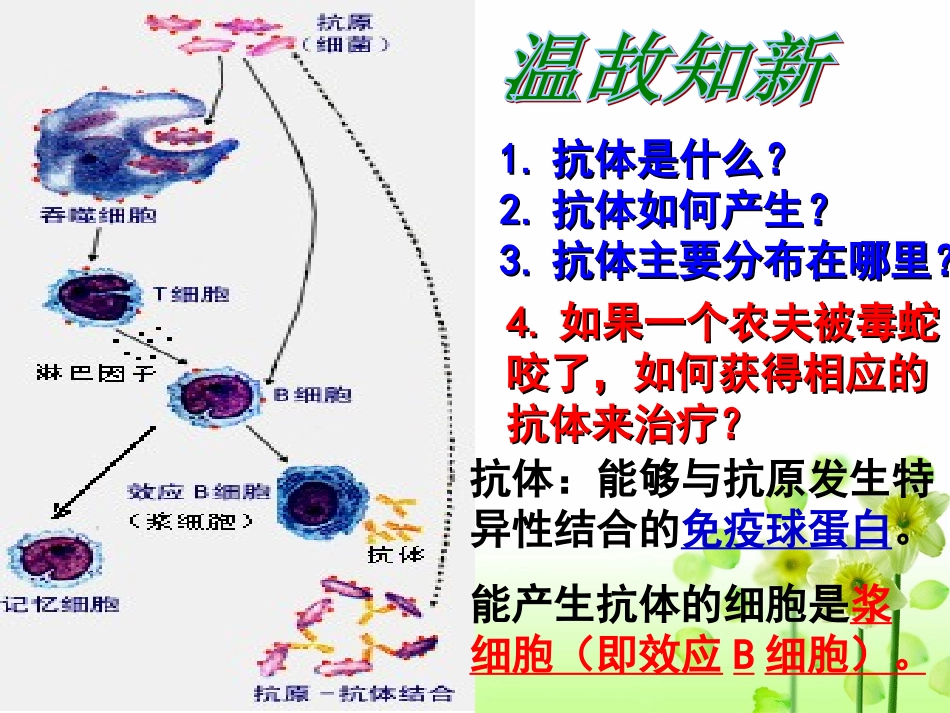 拓展视野-多利羊猜想_第2页