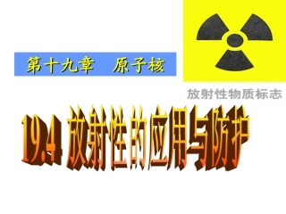 4-放射性的应用与防护-(2)