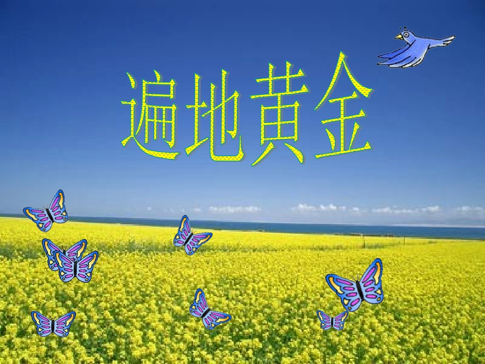 3《遍地黄金》ppt课件1-3_第1页