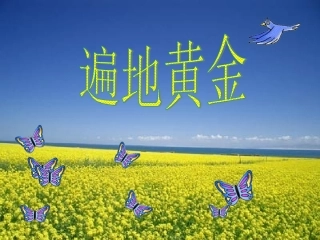 3《遍地黄金》ppt课件1-3