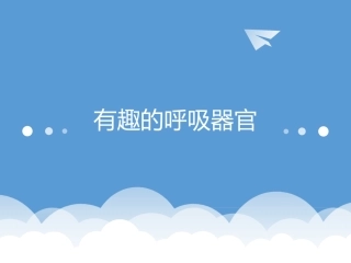 2有趣的呼吸器官