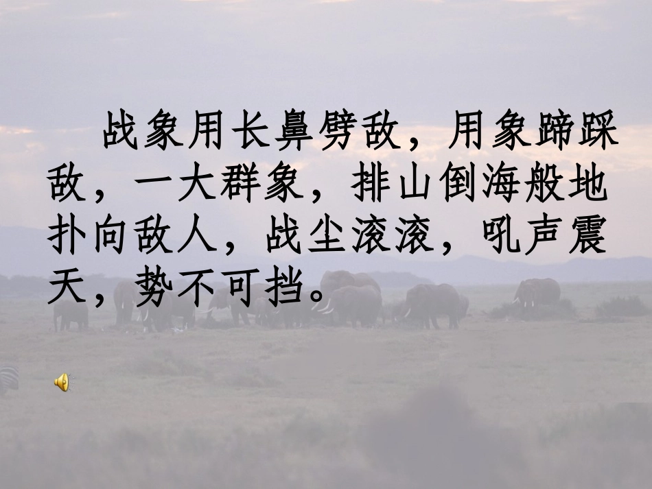 《最后一头战象》课件_第2页