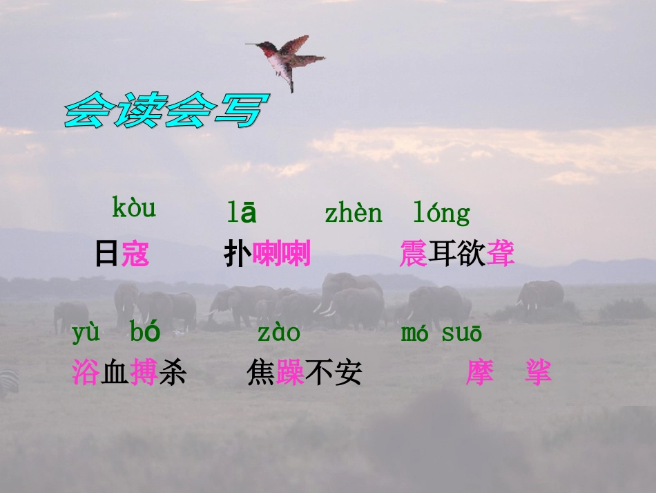 《最后一头战象》课件_第3页