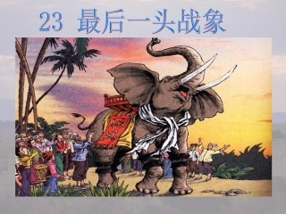 《最后一头战象》课件