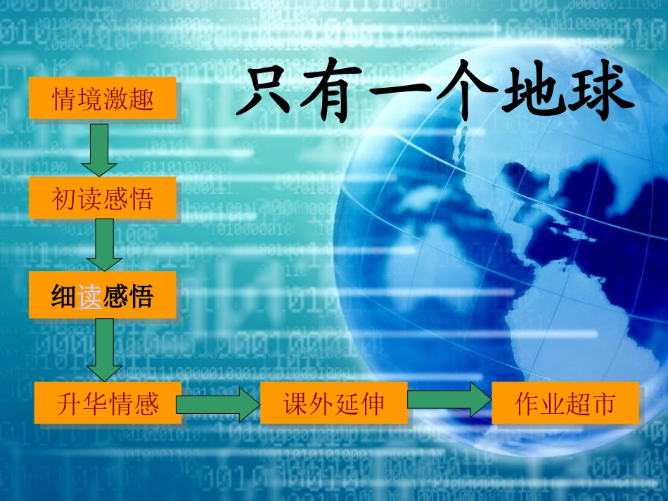 92只有一个地球_第2页