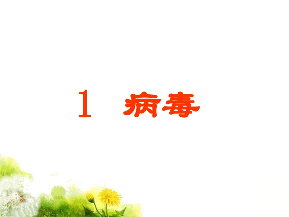 《1-病毒》课件2_第1页