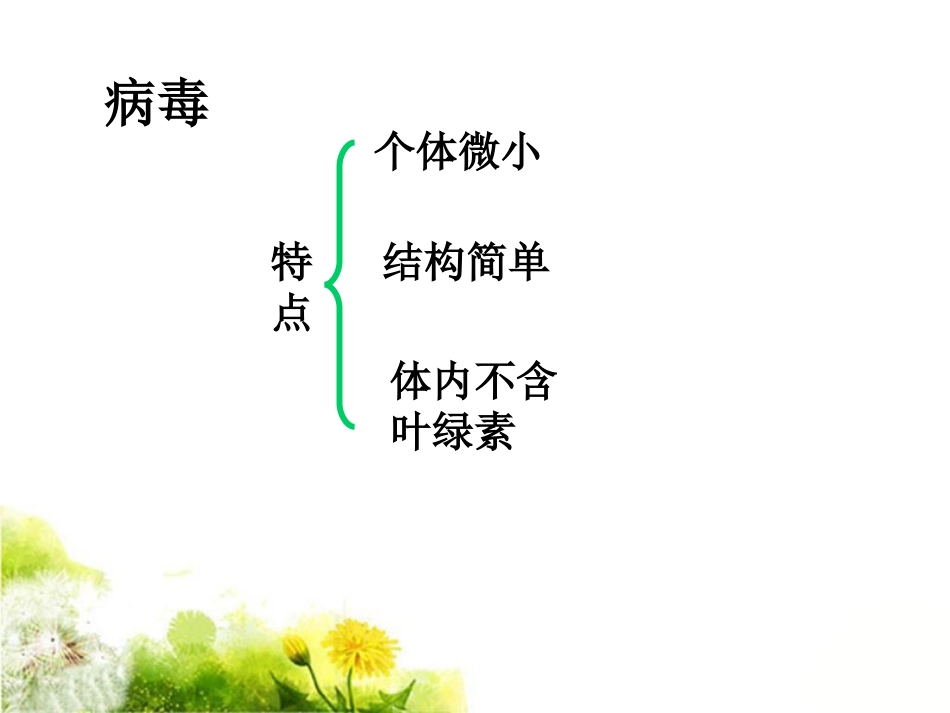 《1-病毒》课件2_第2页