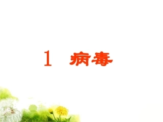 《1-病毒》课件2