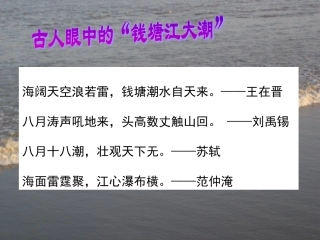 观潮(修改版)