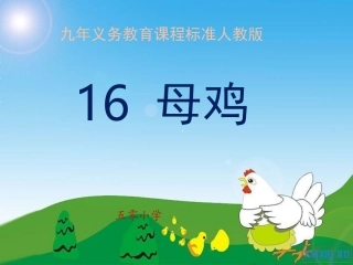 母鸡课件-(2)