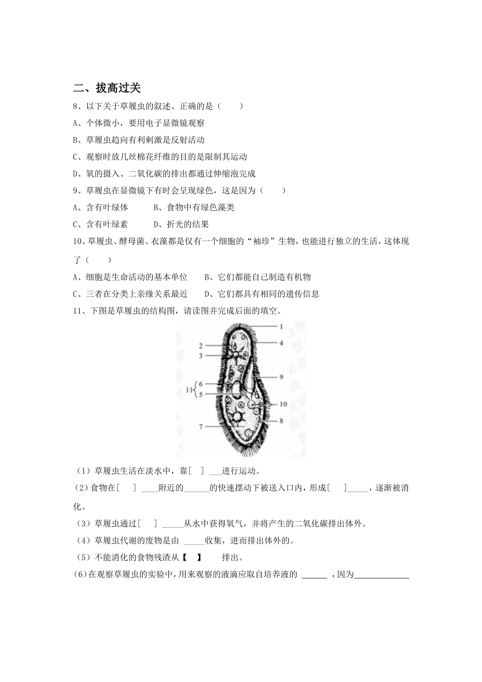 《第四节--单细胞生物体》同步练习1_第2页