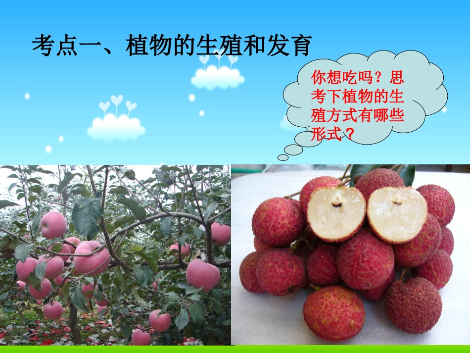 生物的生殖和发育1_第2页