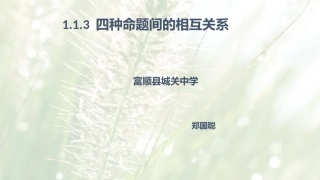 1.1.3四种命题间的相互关系 (11)