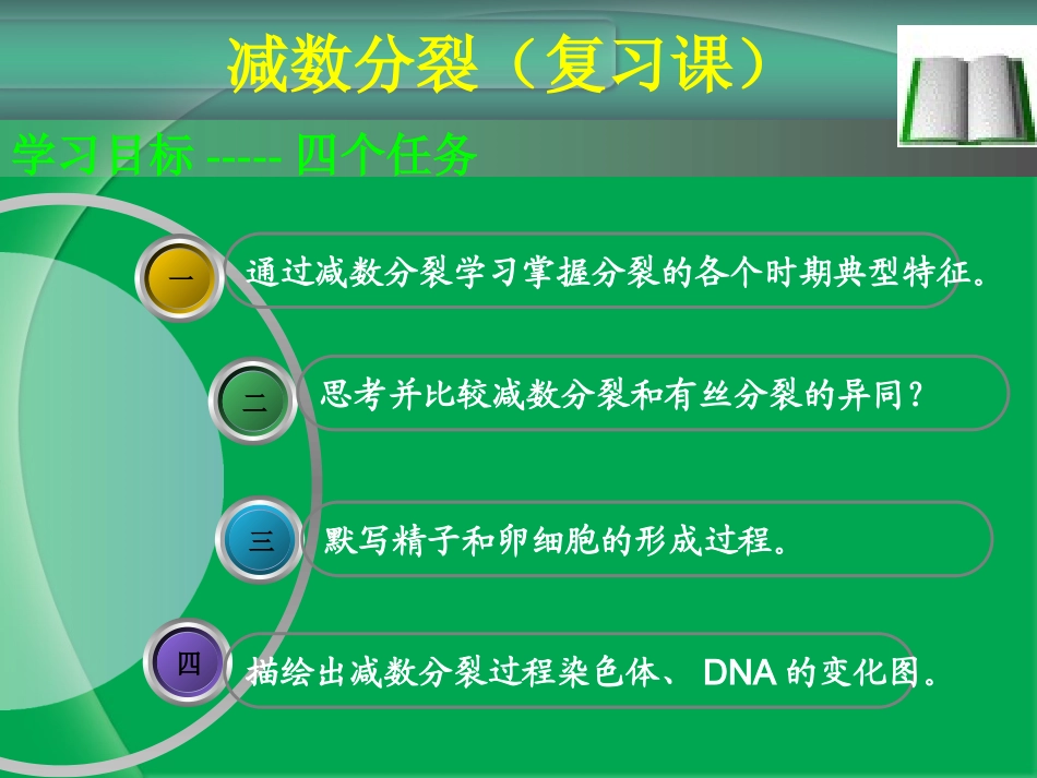 减数分裂课件_第1页